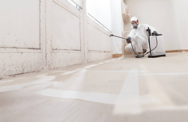 24/7 Emergency Mold Remediation experts in Fort Myer, VA